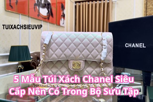 5 Mẫu Túi Xách Chanel Siêu Cấp Nên Có Trong Bộ Sưu Tập Của Bạn