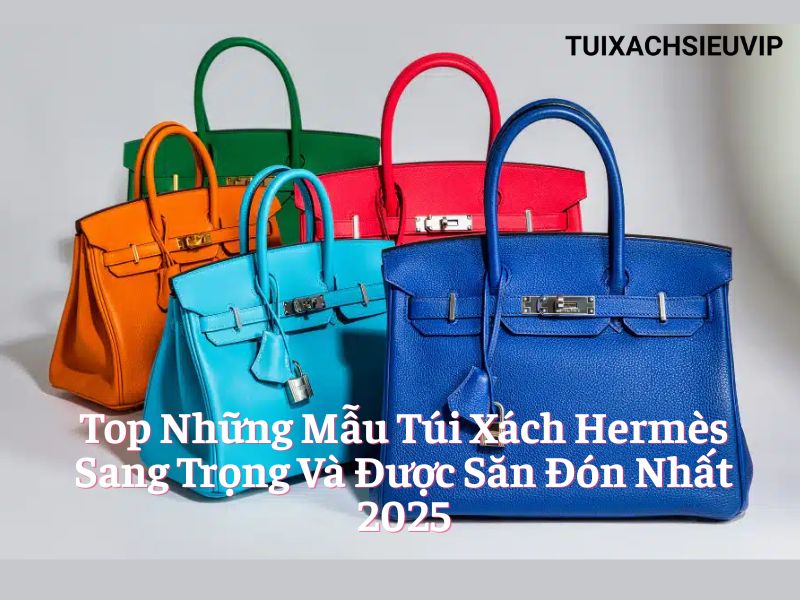 Top Những Mẫu Túi Xách Hermès Sang Trọng Và Được Săn Đón Nhất 2025