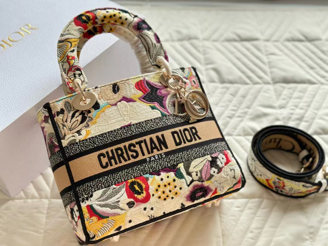 Tổng Hợp Túi Christian Dior Lady D-lite Bag