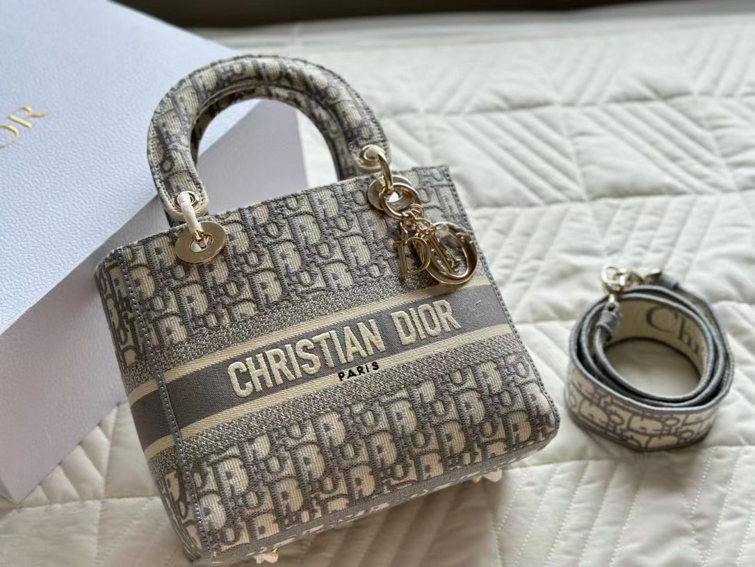 Tổng Hợp Túi Christian Dior Lady D-lite Bag