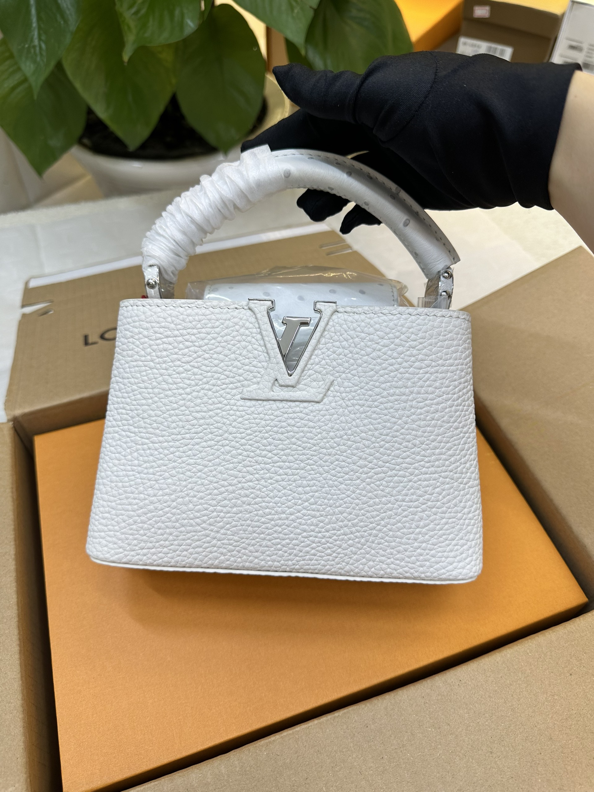 Túi LV Capucines Mini VIP Màu Trắng Size 21cm M23456