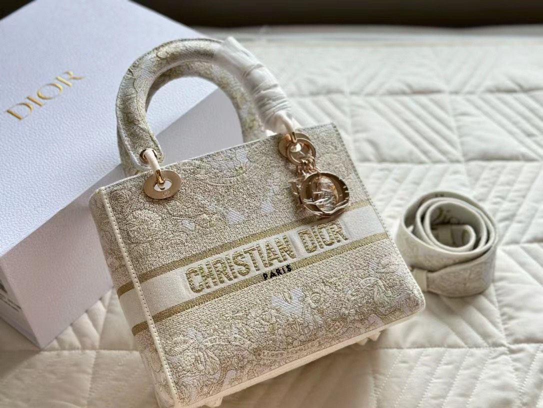 Tổng Hợp Túi Christian Dior Lady D-lite Bag