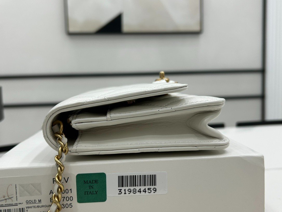 Túi Xách Chanel Woc Siêu Cấp Size 25cm Màu Trắng A96001