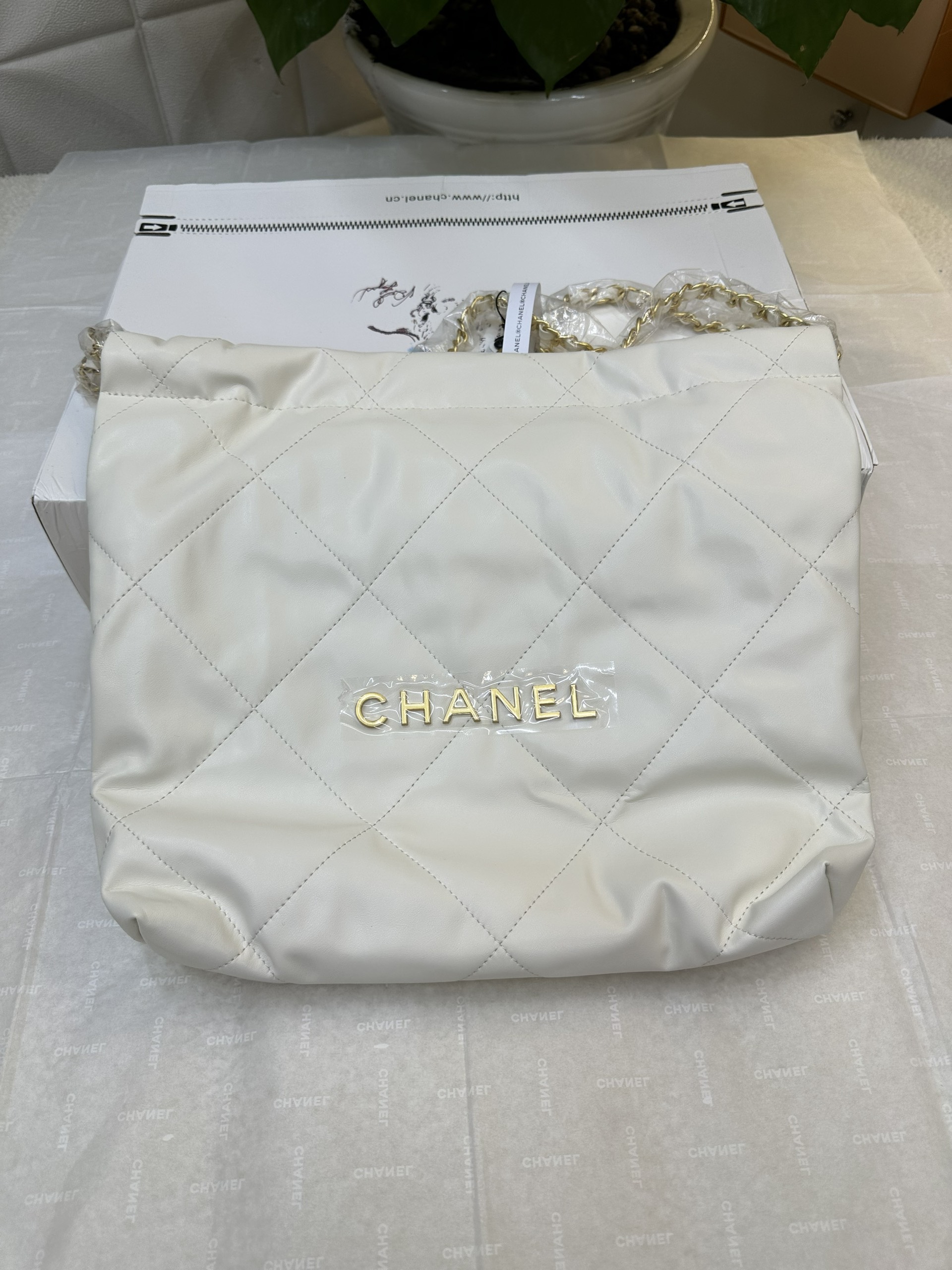 Túi Chanel Hobo White 22 Small Super Màu Trắng Size 35