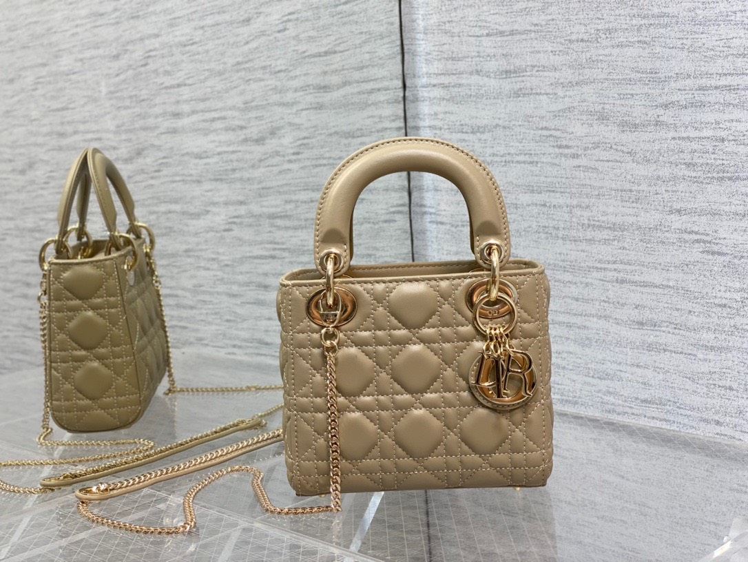 Bảng Màu Mini Lady Dior Bag Size 17cm