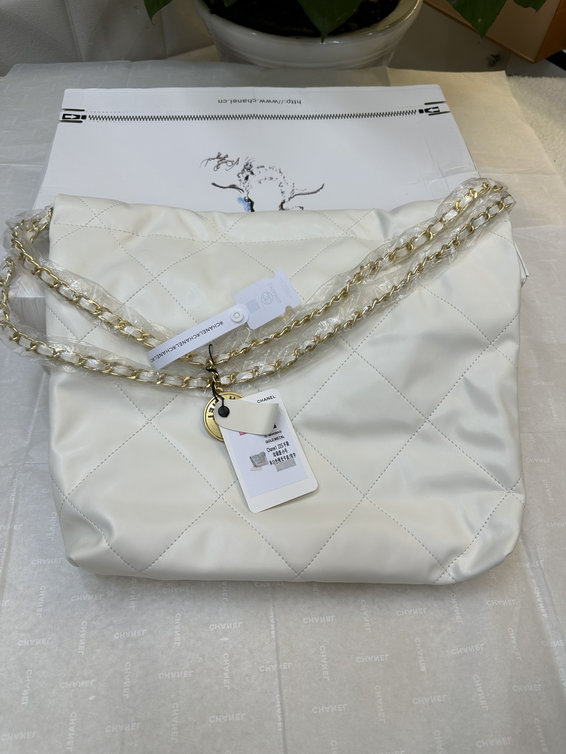 Túi Chanel Hobo White 22 Small Super Màu Trắng Size 35