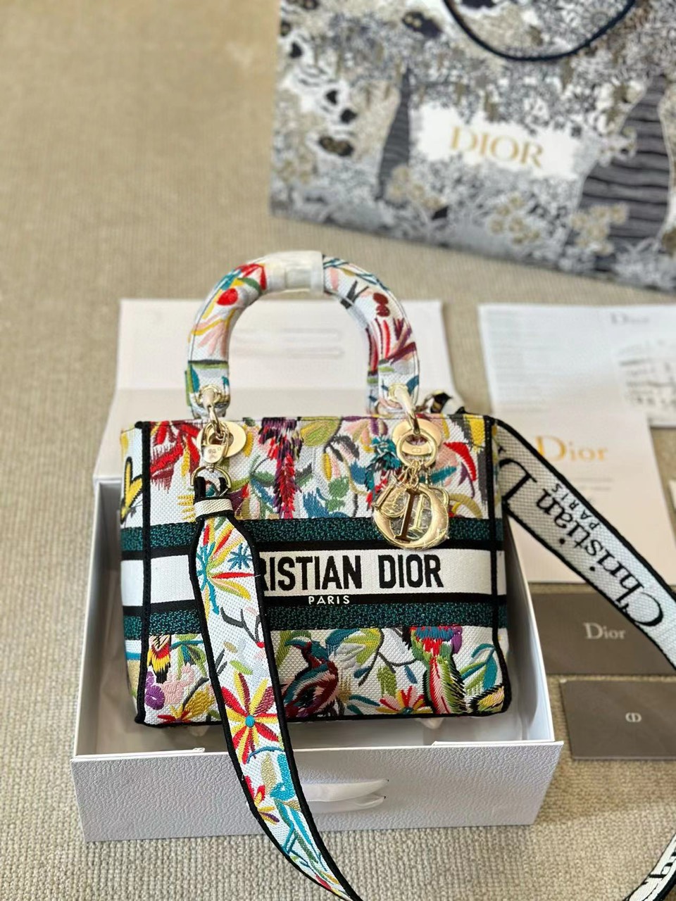 Tổng Hợp Túi Christian Dior Lady D-lite Bag