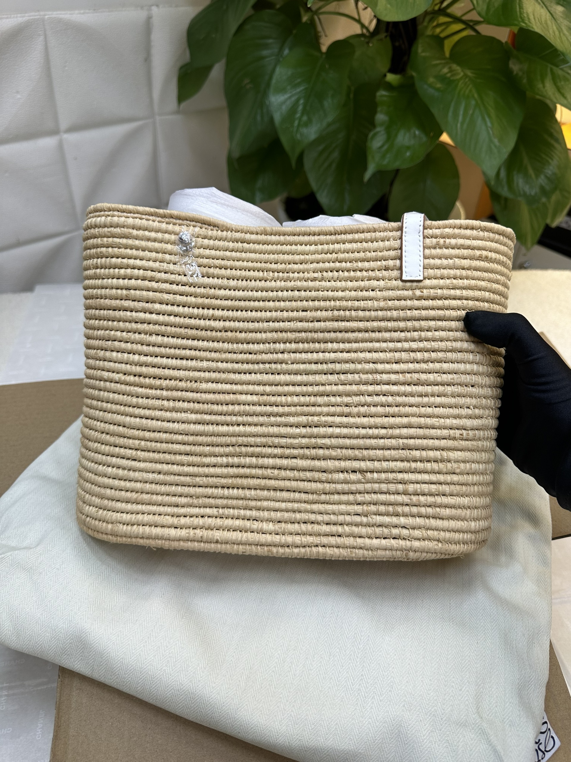 Túi Celine Small Square Basket Bag In Raffia And Calfskin Vip Size 21cm