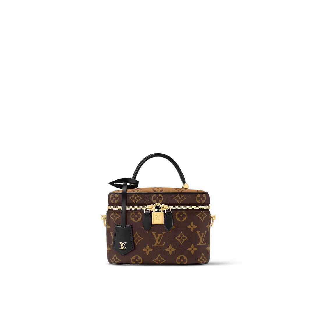 Túi Xách LV Vanity PM Super Màu Nâu Size 19cm M45165