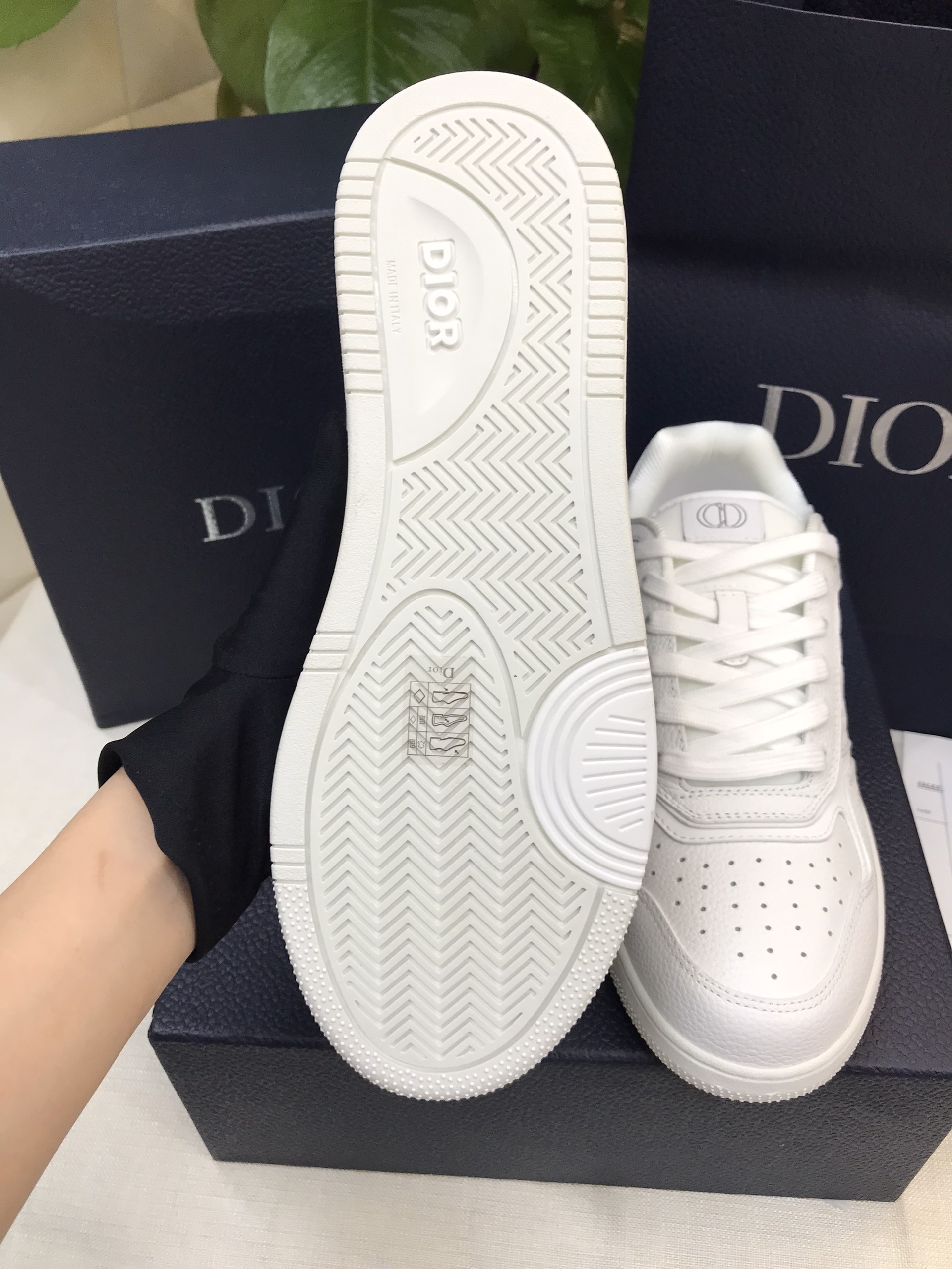 Giày Dior B27 Low-Top Sneaker Siêu Cấp Size 44