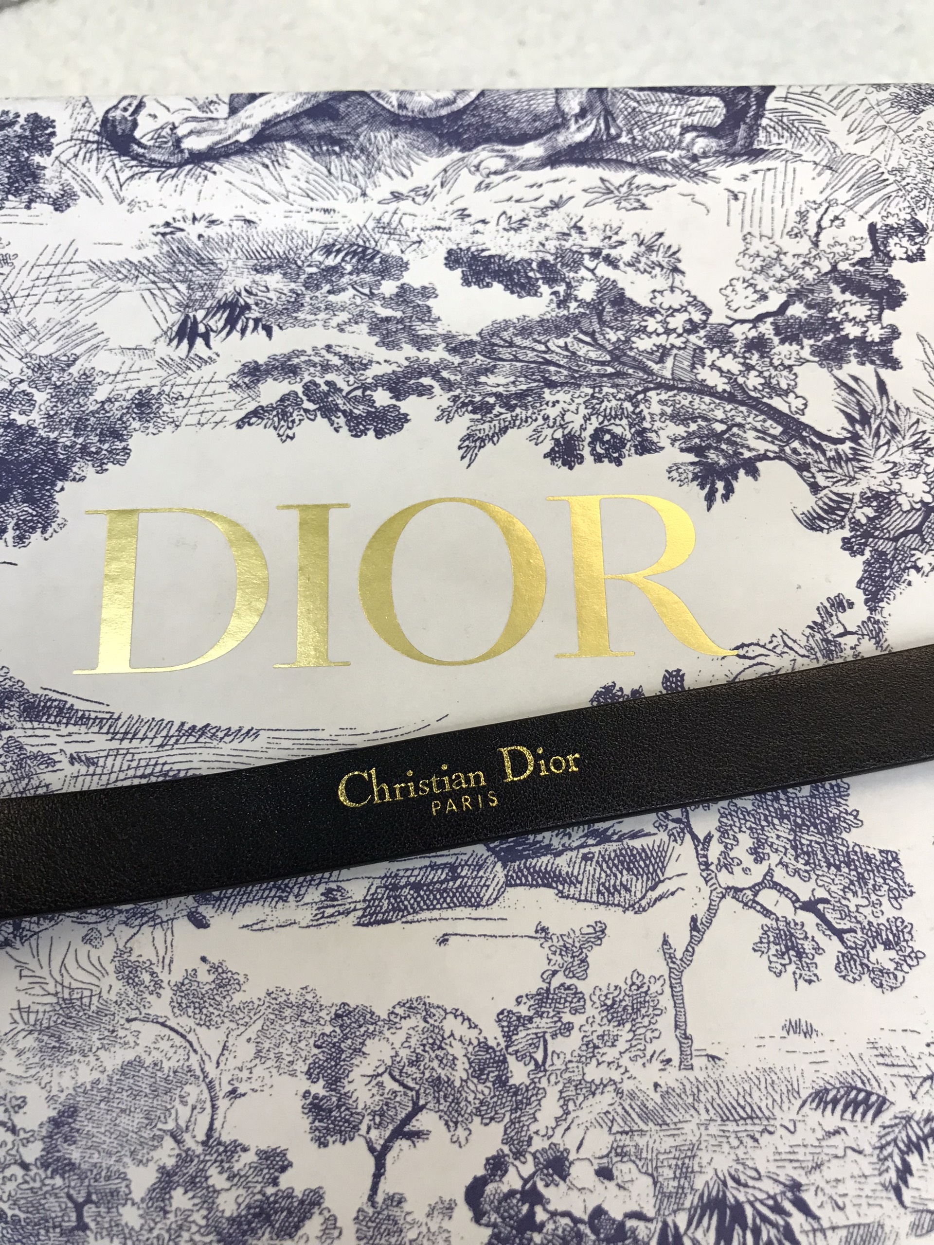 Thắt Lưng Dior 30 Montaigne Loop Belt Black Logo Silver Siêu Cấp