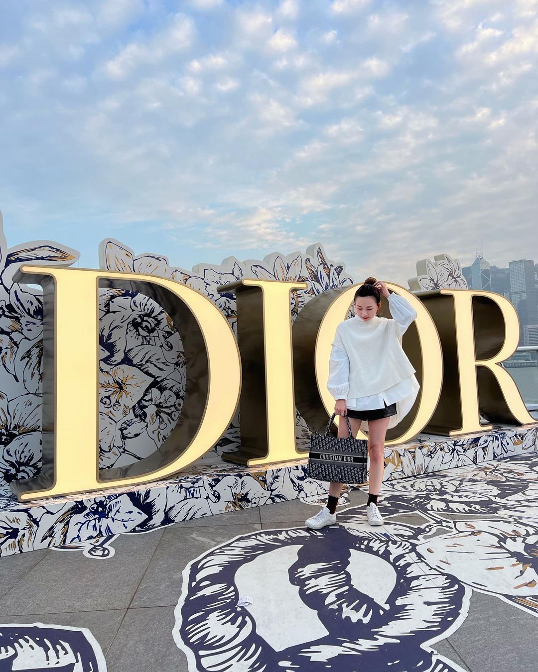 Tổng Hợp Túi Xách Dior Super Tote Bag Thêu Logo