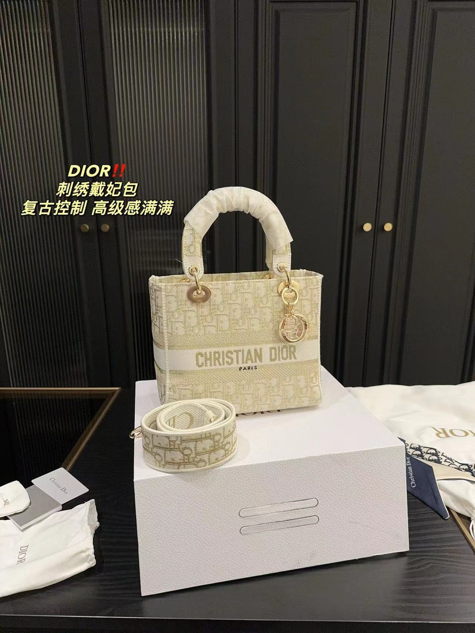 Tổng Hợp Túi Christian Dior Lady D-lite Bag