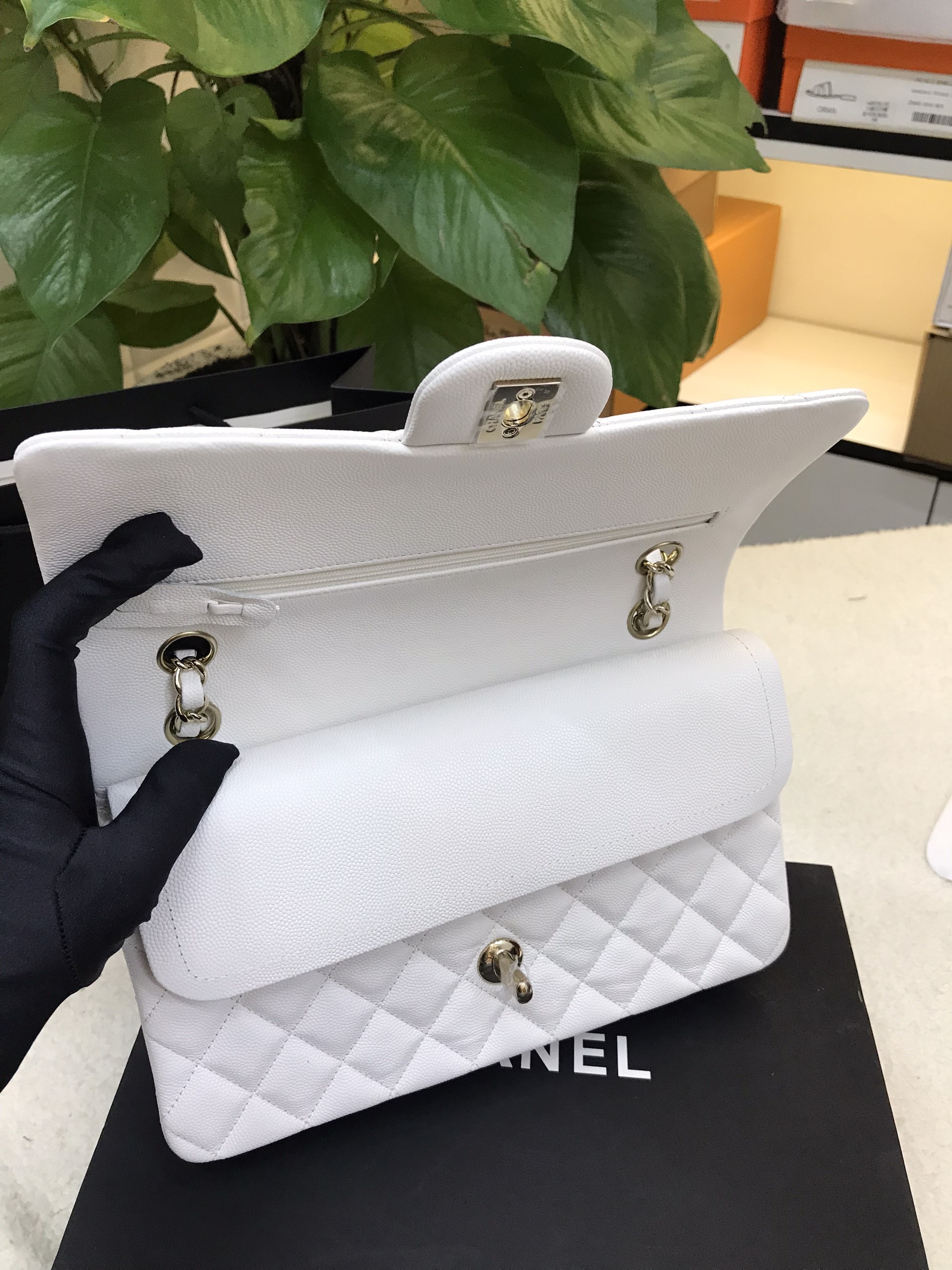 Túi Chanel Classic Vip Màu Trắng Size 25cm