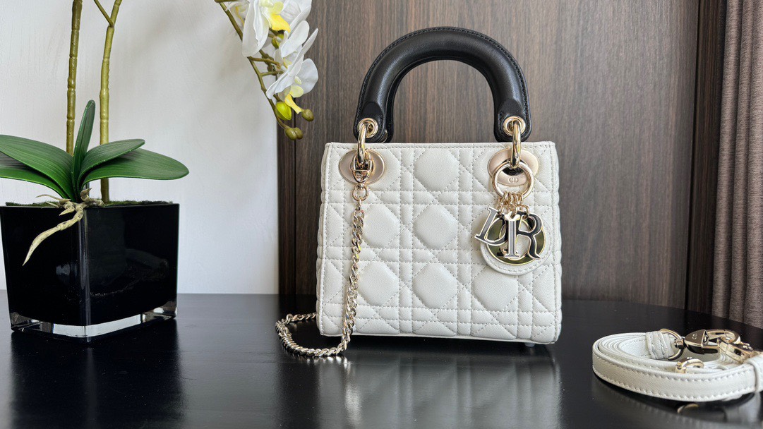 Bảng Màu Mini Lady Dior Bag Size 17cm