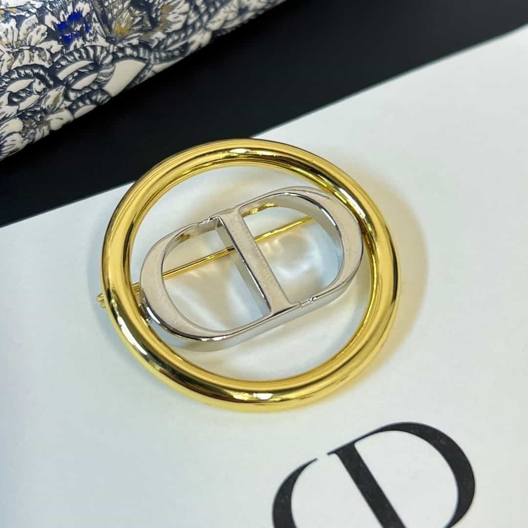 Tổng Hợp 6 Mẫu Trâm Cài Áo Dior Siêu Cấp Full Box