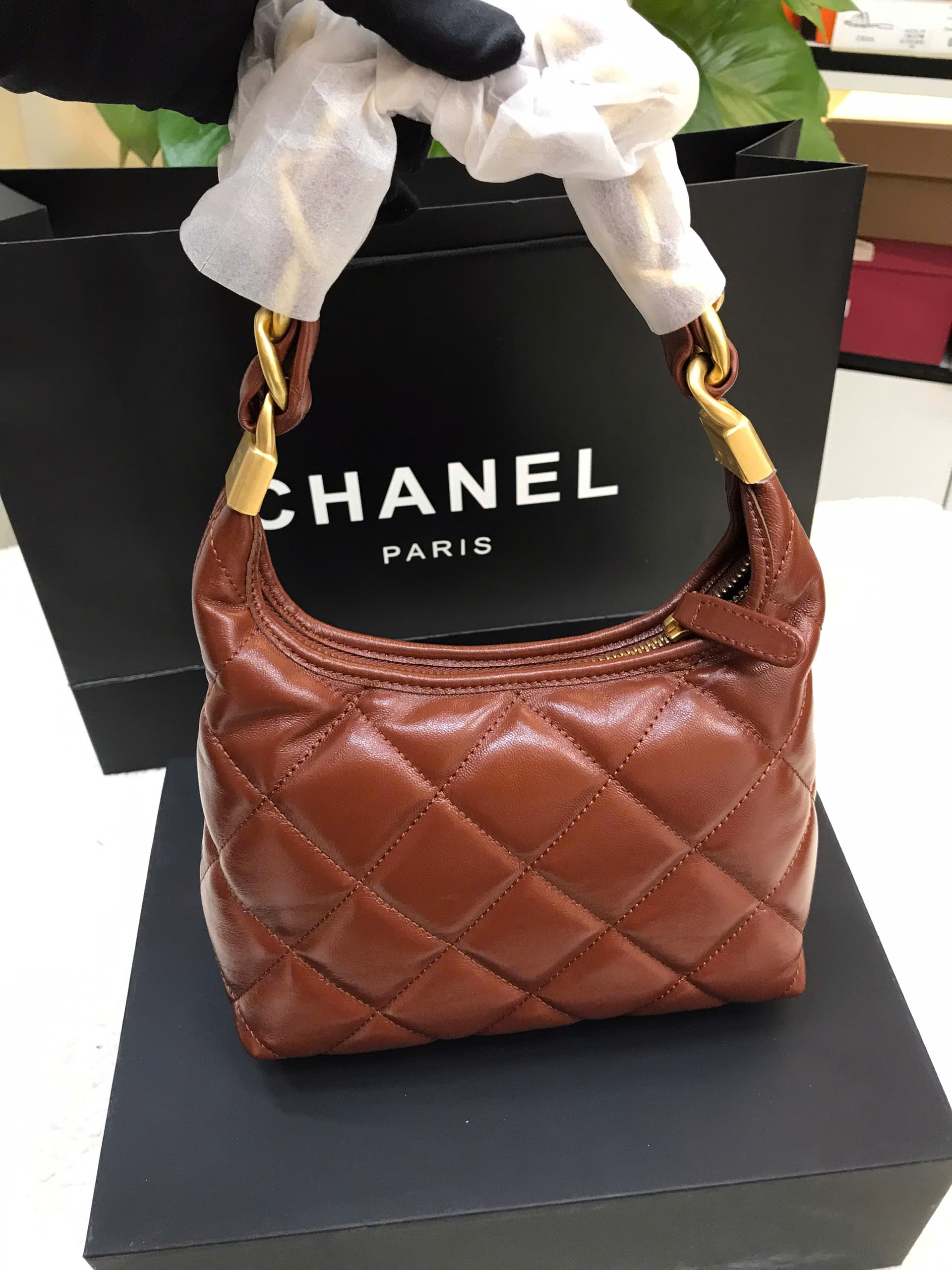 Túi Chanel Hobo Bag Brown Vip Size 22cm