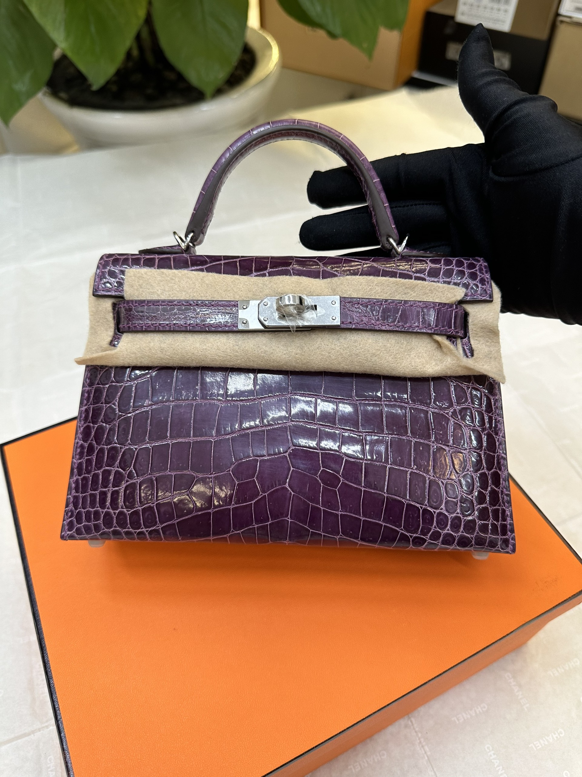 Túi Hermès Kelly Pochette Alligator Amethyst VIP Màu Tím Size 19cm