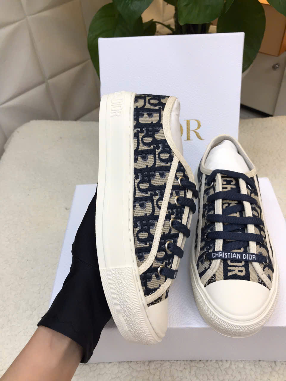 Giày Walk Dior Sneaker Siêu Cấp Size 36