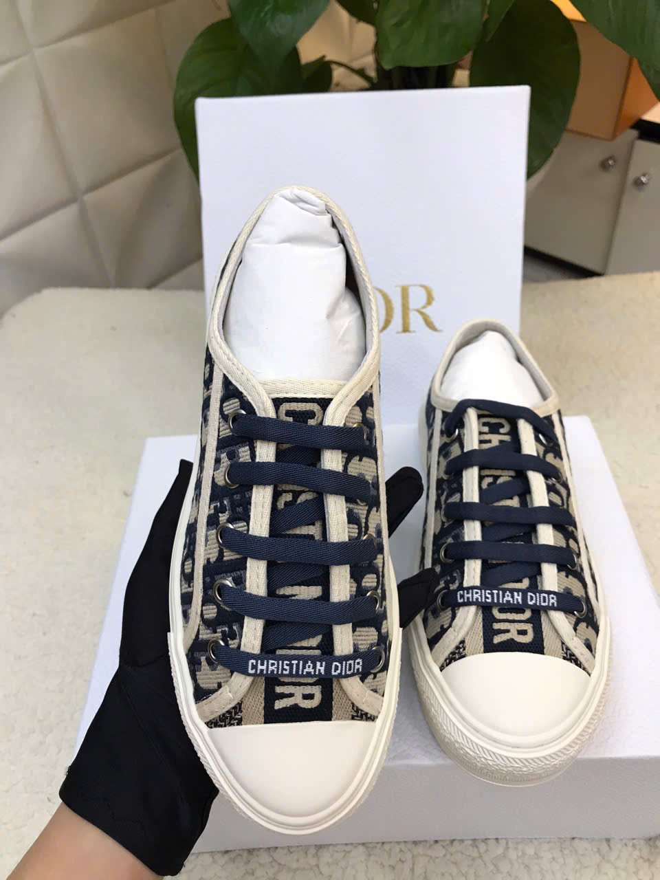 Giày Walk Dior Sneaker Siêu Cấp Size 36