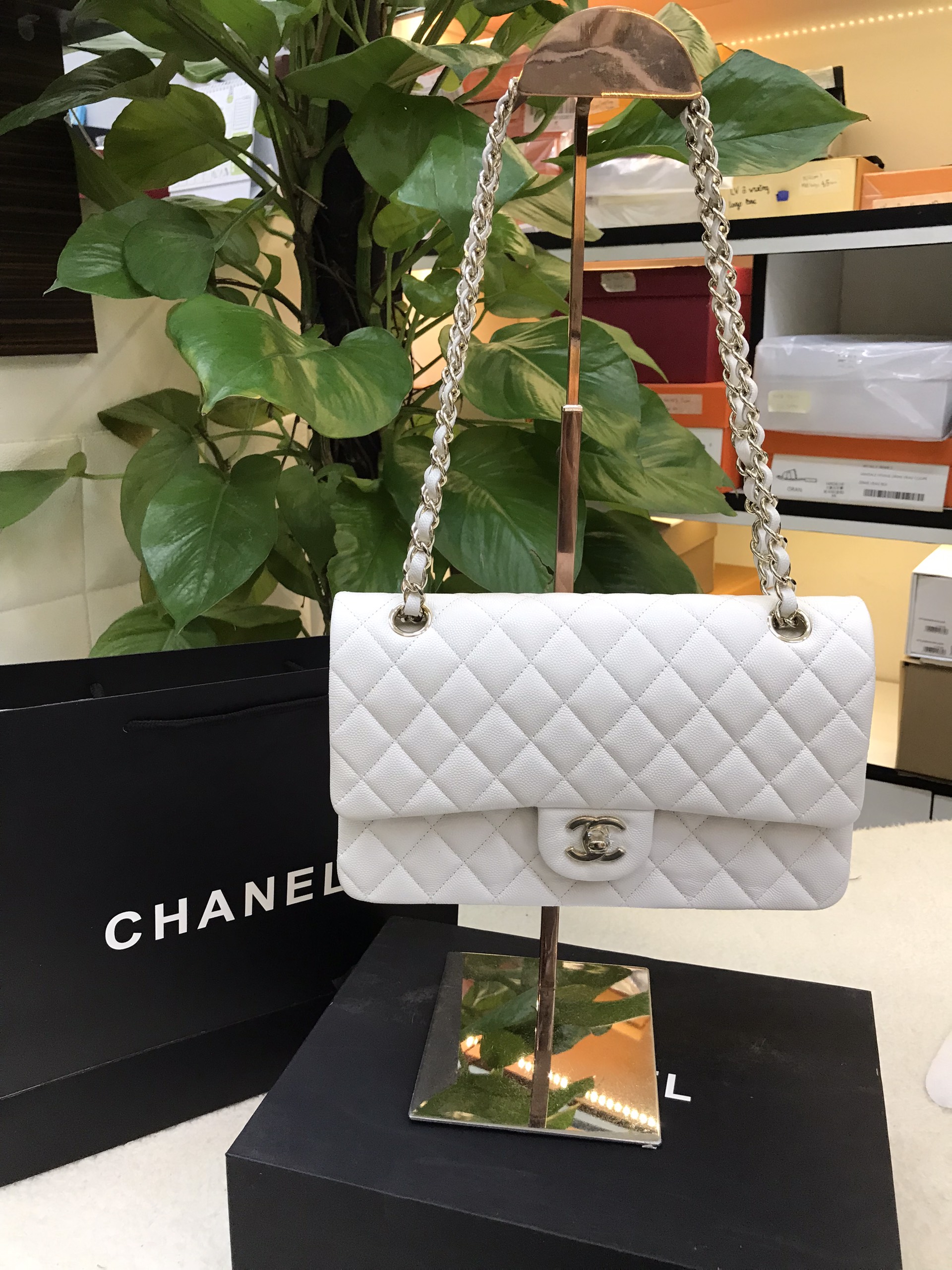 Túi Chanel Classic Vip Màu Trắng Size 25cm