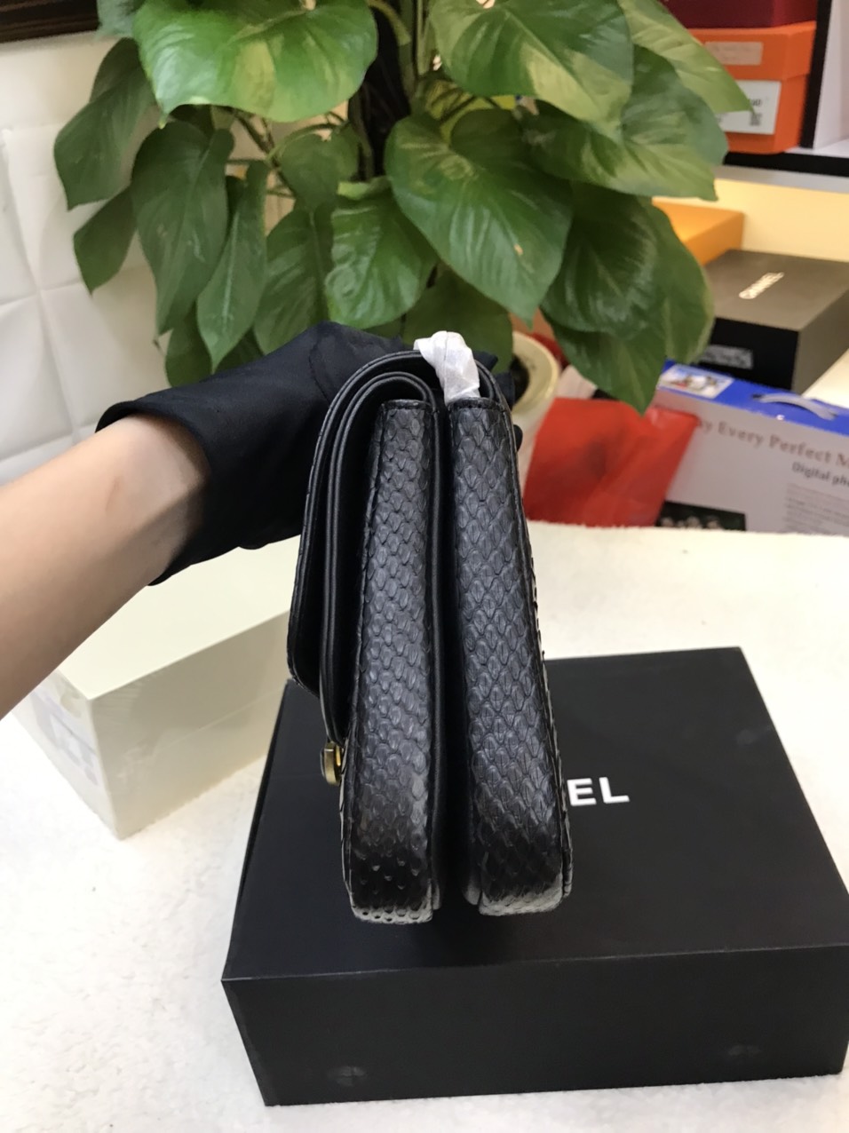 Túi Chanel Python Handbag Black Da Rắn Màu Đen