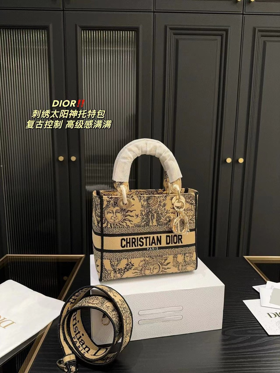 Tổng Hợp Túi Christian Dior Lady D-lite Bag