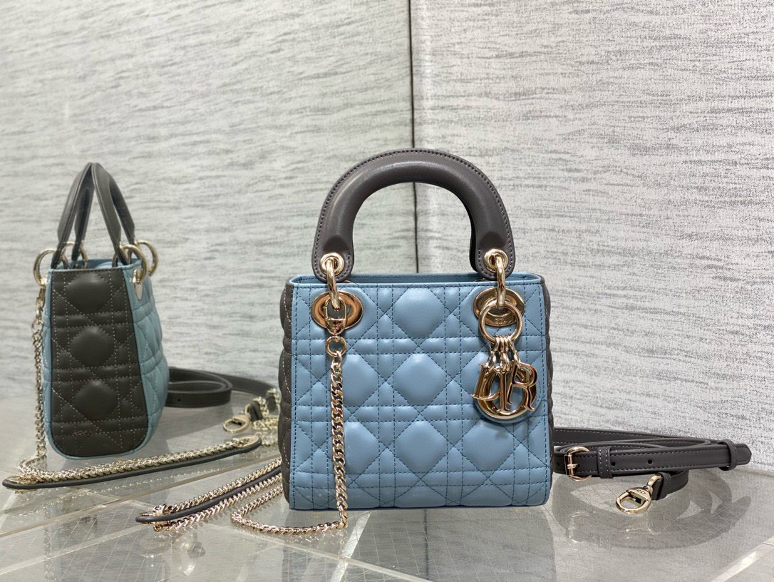 Bảng Màu Mini Lady Dior Bag Size 17cm