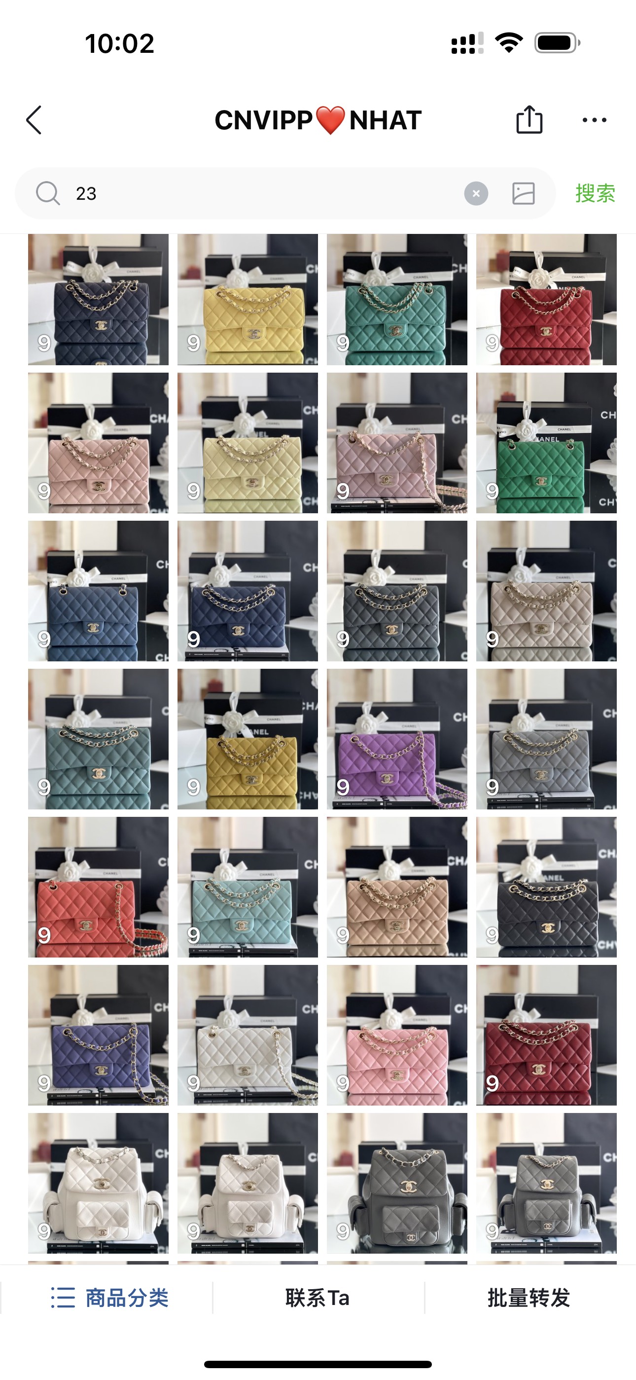 Bảng Màu Túi Chanel Classic Flap Vip