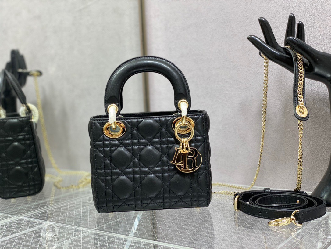 Bảng Màu Mini Lady Dior Bag Size 17cm