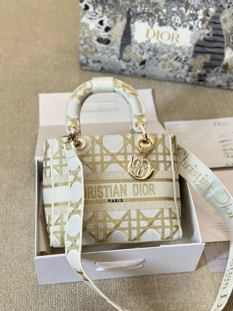 Tổng Hợp Túi Christian Dior Lady D-lite Bag