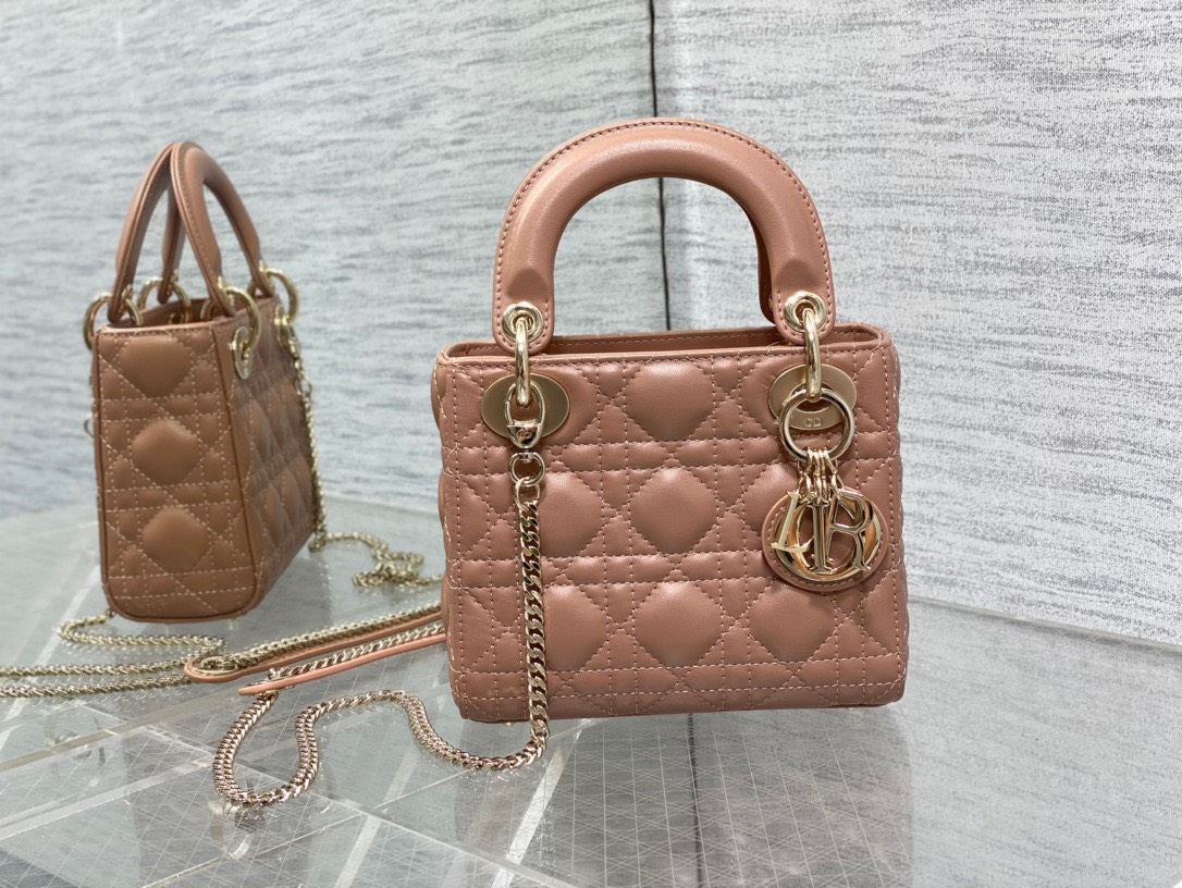 Bảng Màu Mini Lady Dior Bag Size 17cm