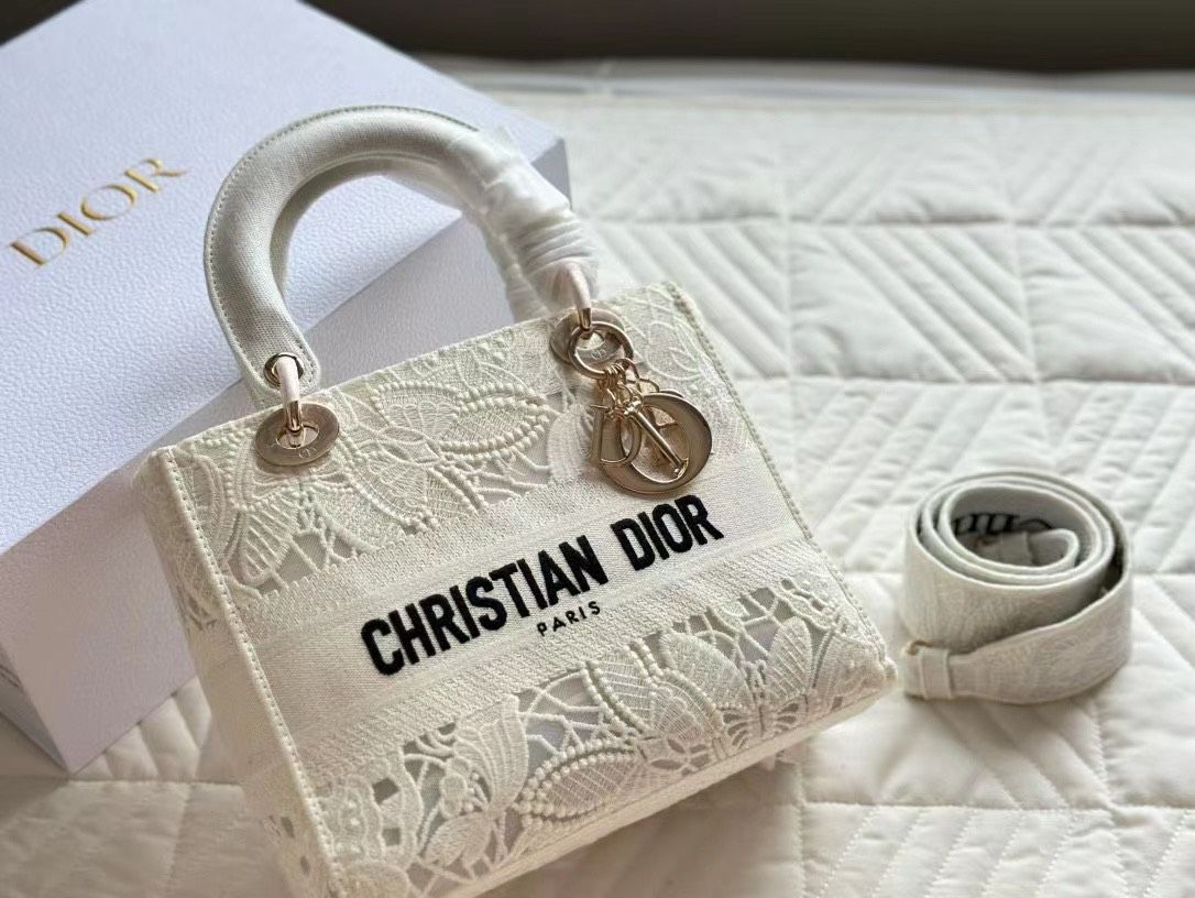 Tổng Hợp Túi Christian Dior Lady D-lite Bag