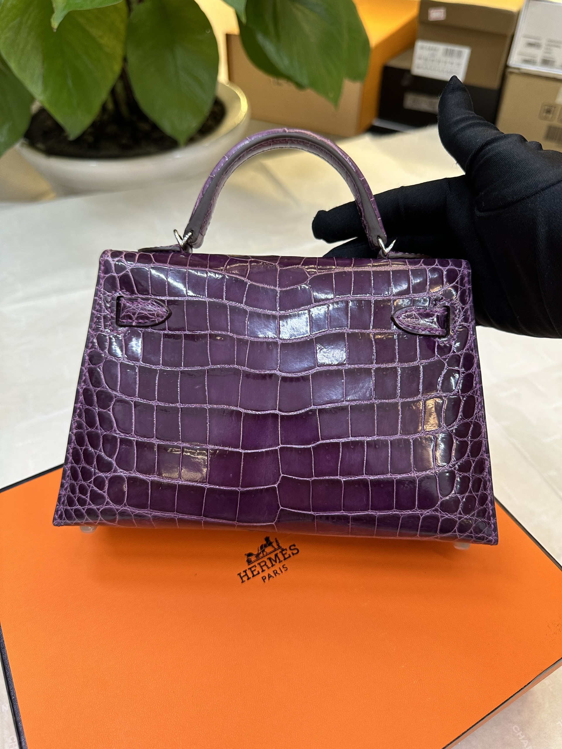 Túi Hermès Kelly Pochette Alligator Amethyst VIP Màu Tím Size 19cm