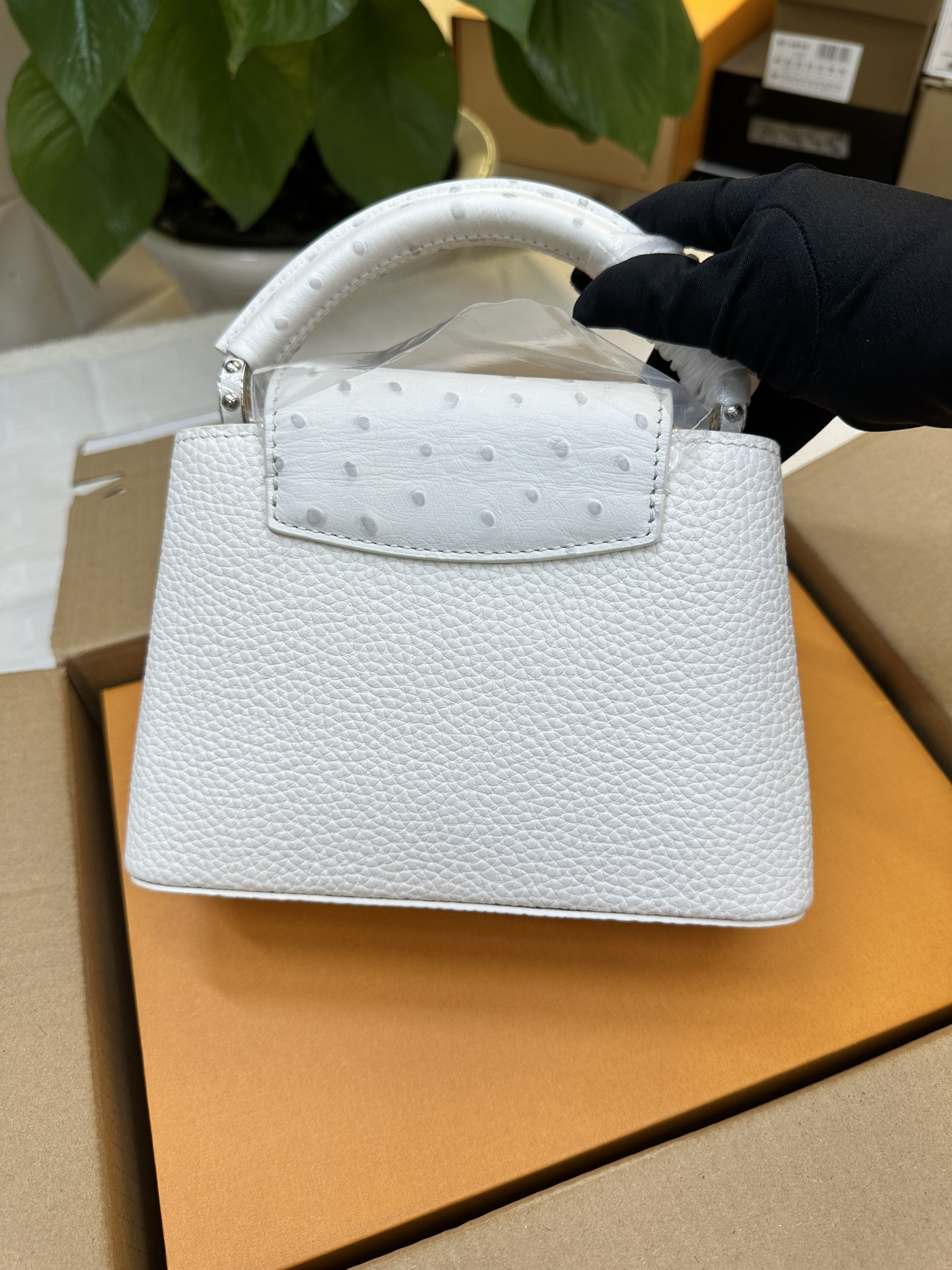 Túi LV Capucines Mini VIP Màu Trắng Size 21cm M23456