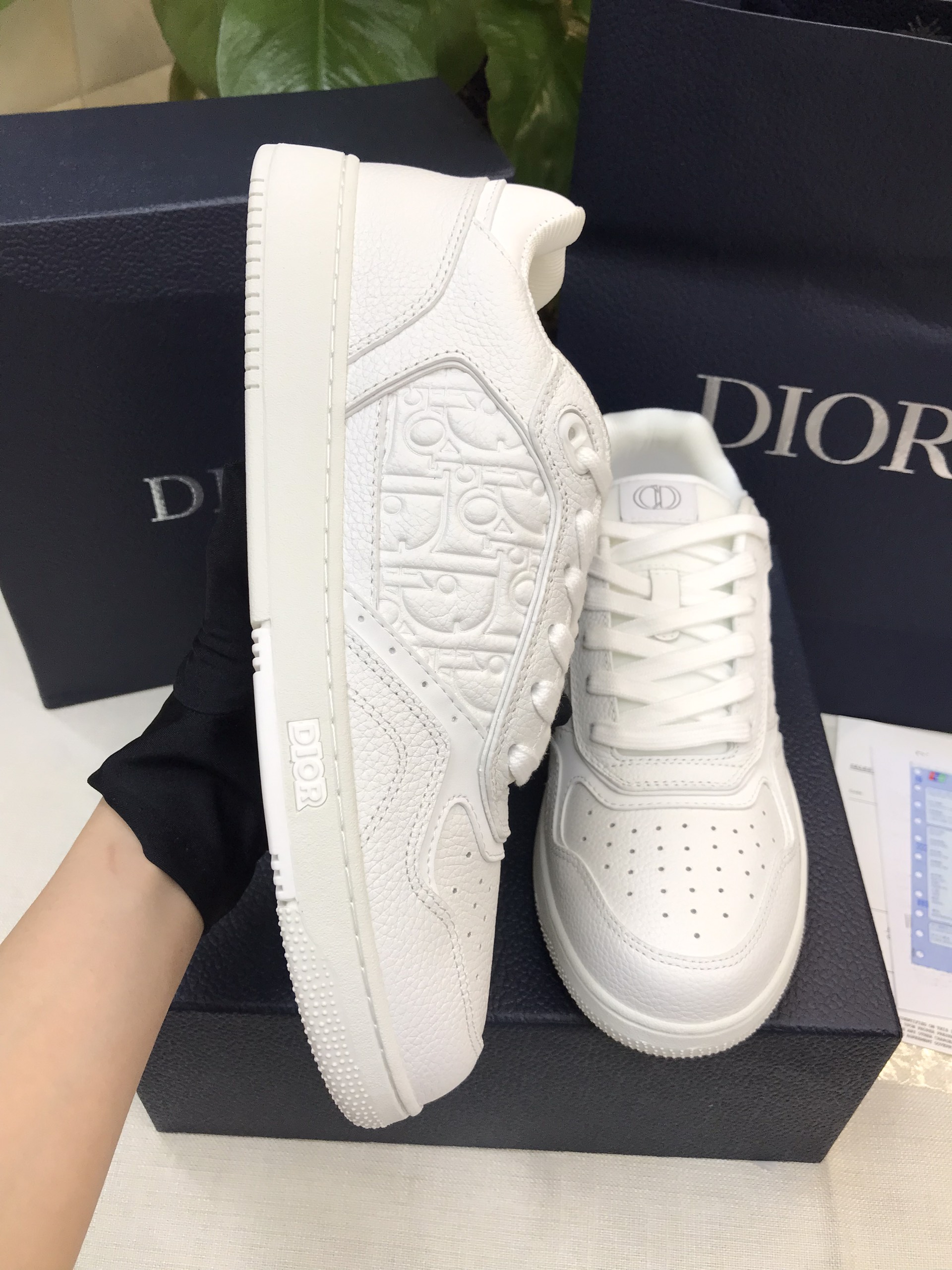 Giày Dior B27 Low-Top Sneaker Siêu Cấp Size 44