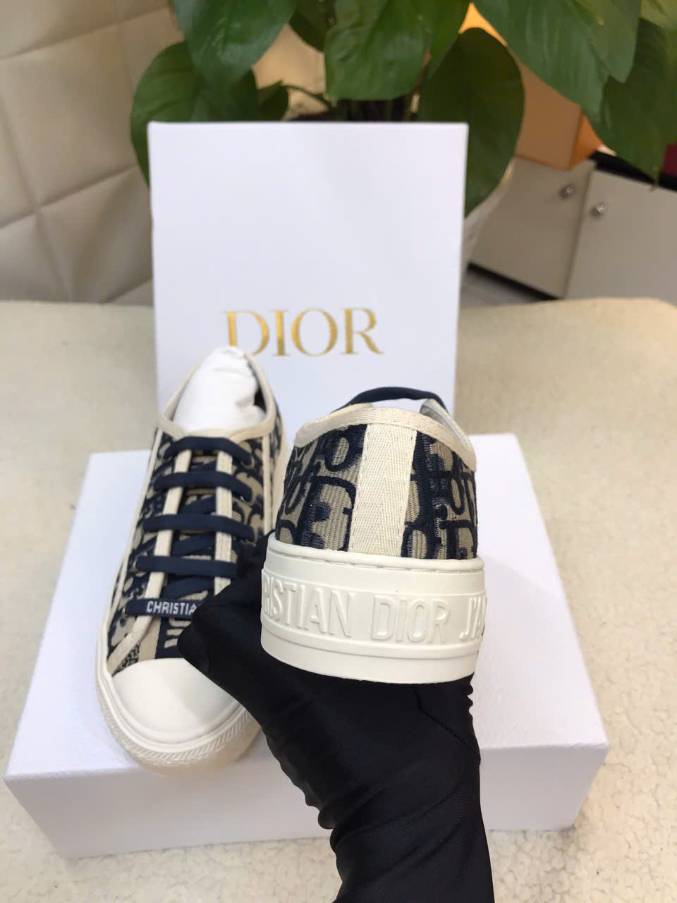 Giày Walk Dior Sneaker Siêu Cấp Size 36