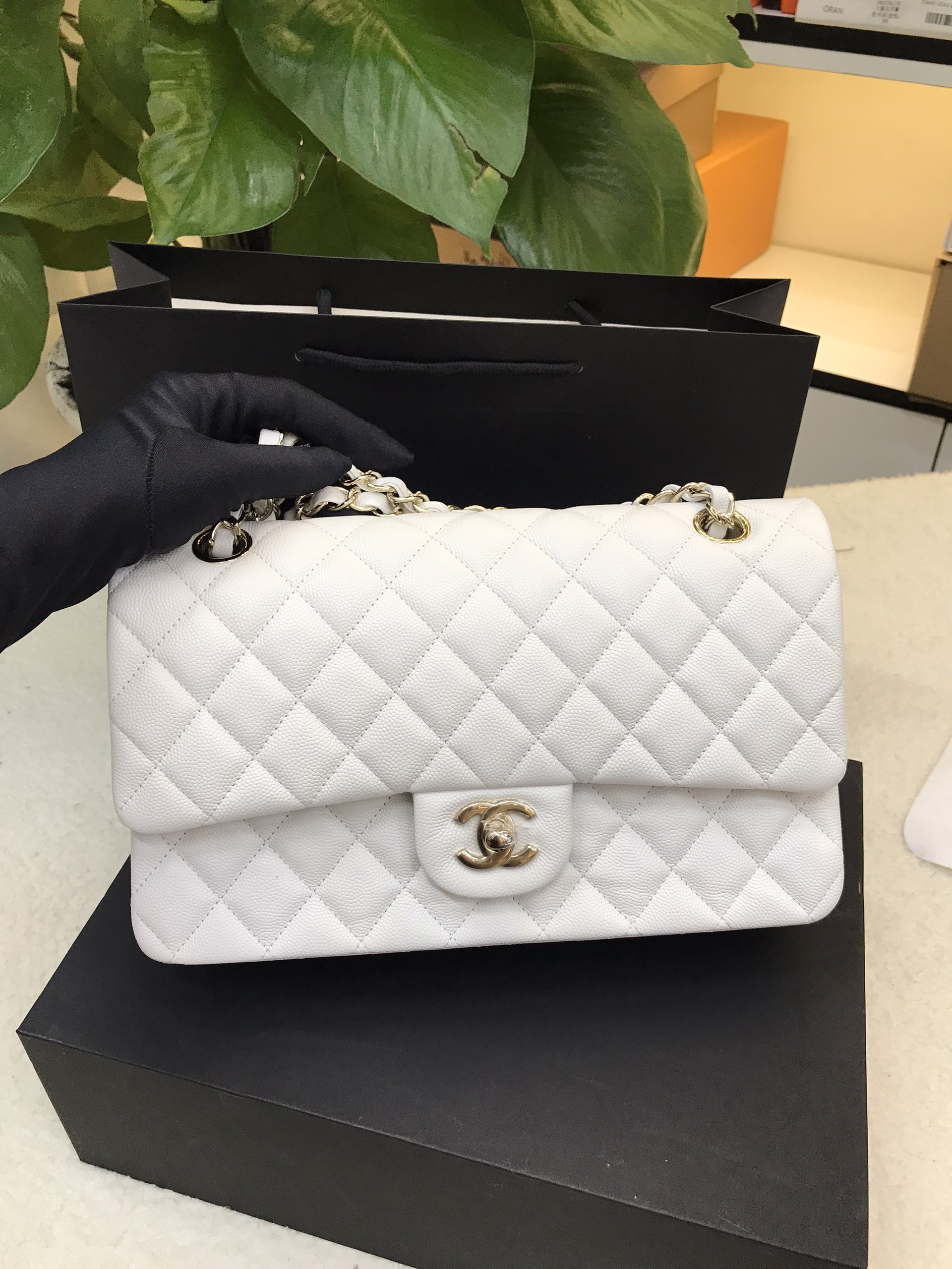 Túi Chanel Classic Vip Màu Trắng Size 25cm