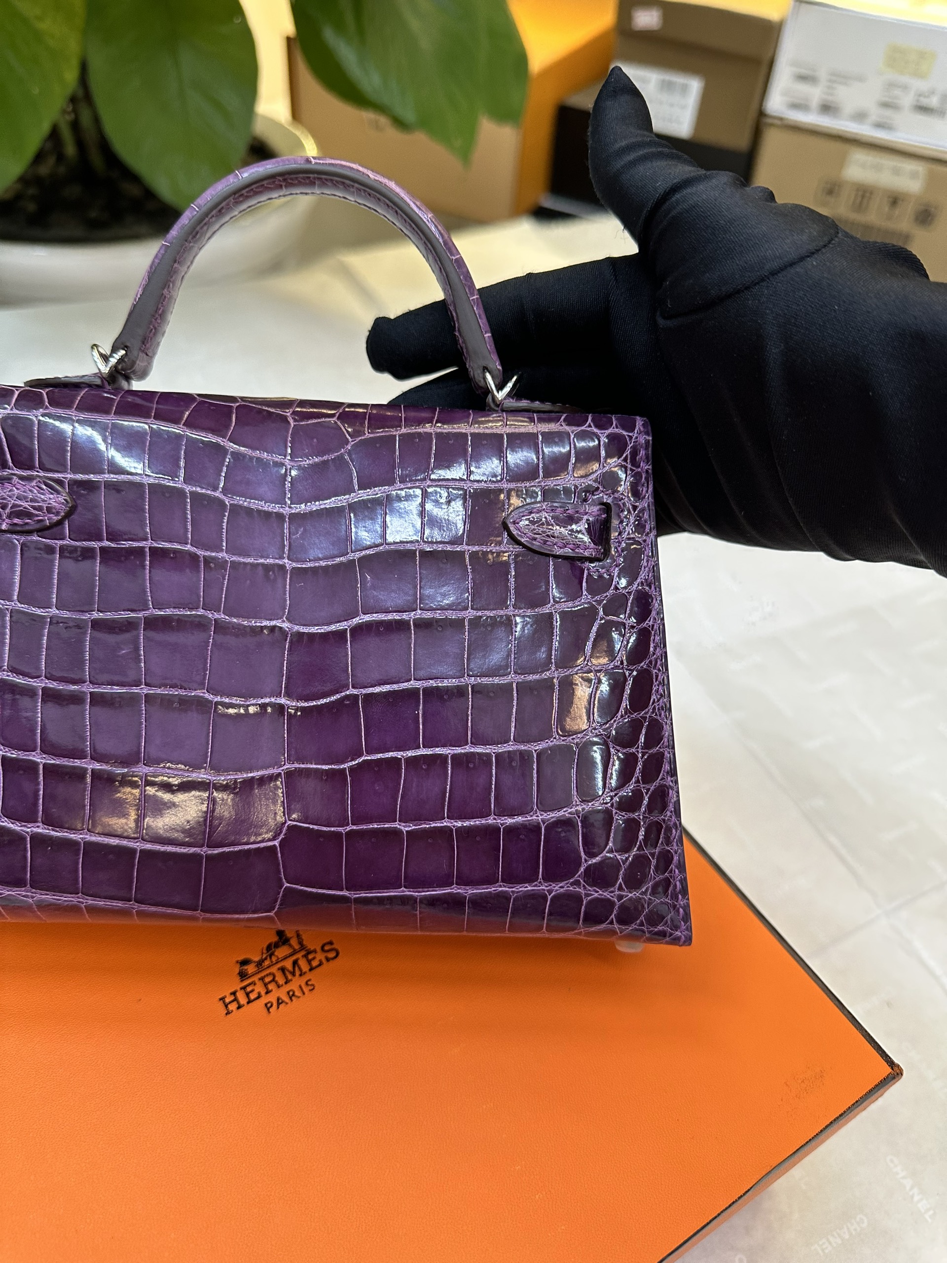 Túi Hermès Kelly Pochette Alligator Amethyst VIP Màu Tím Size 19cm