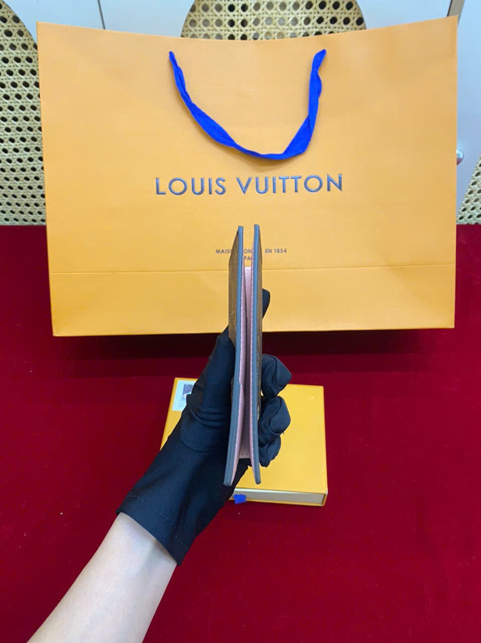 Ví LV Passport Vivienne Paris M81635 Super Size 14cm