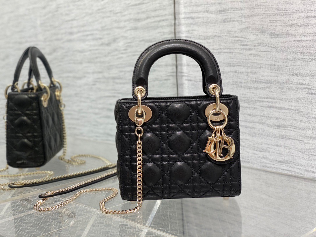 Bảng Màu Mini Lady Dior Bag Size 17cm