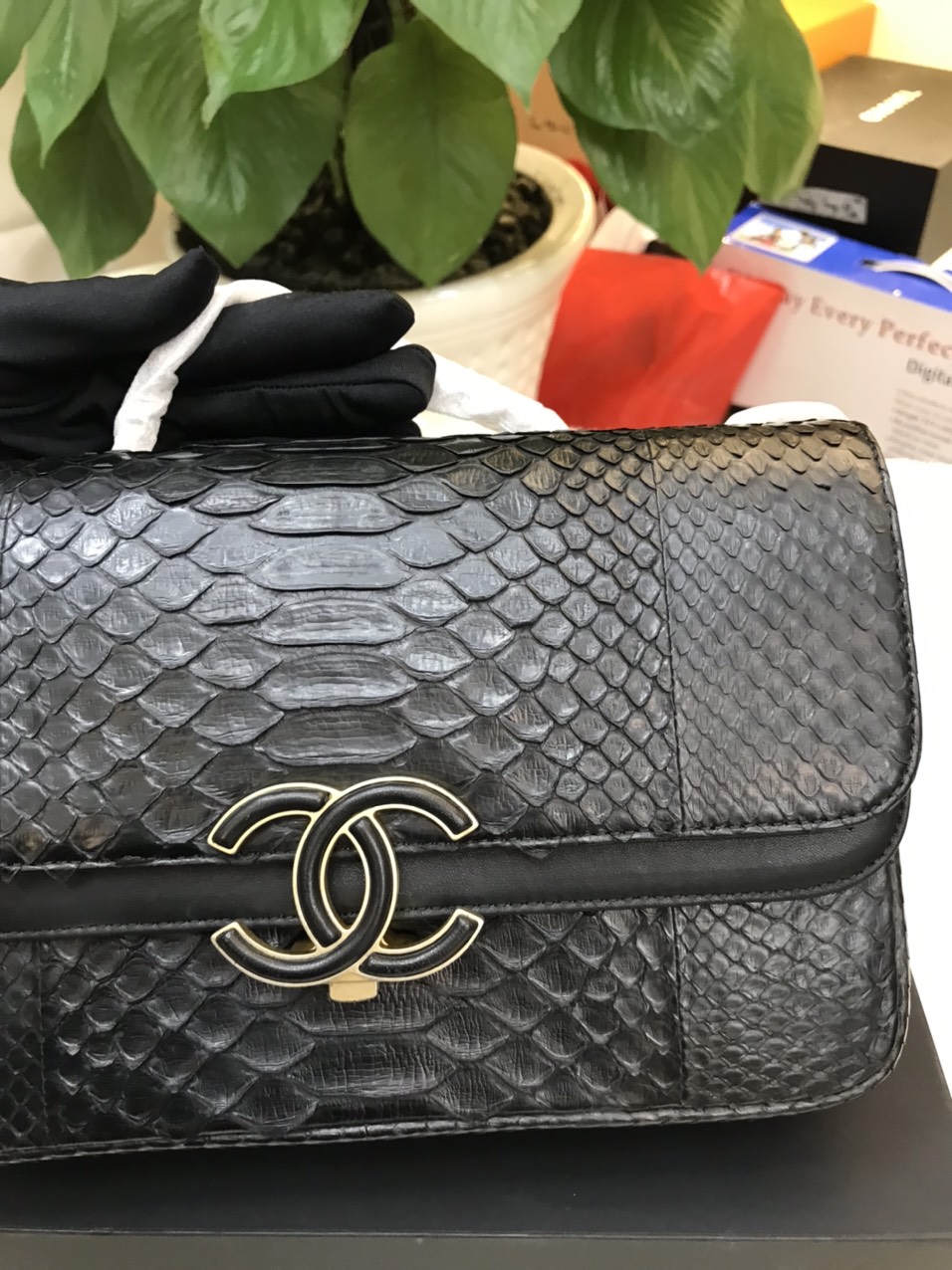 Túi Chanel Python Handbag Black Da Rắn Màu Đen