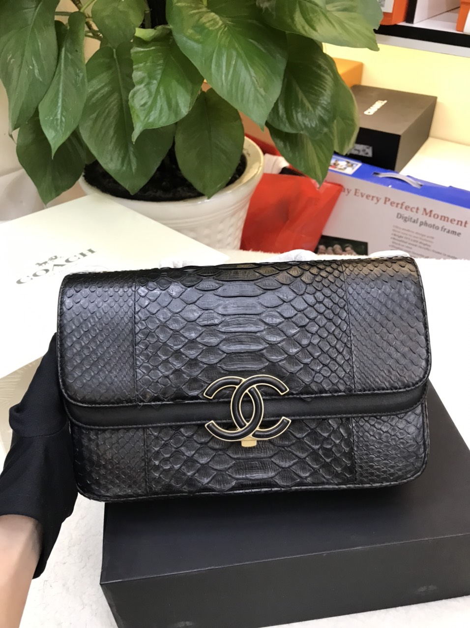 Túi Chanel Python Handbag Black Da Rắn Màu Đen