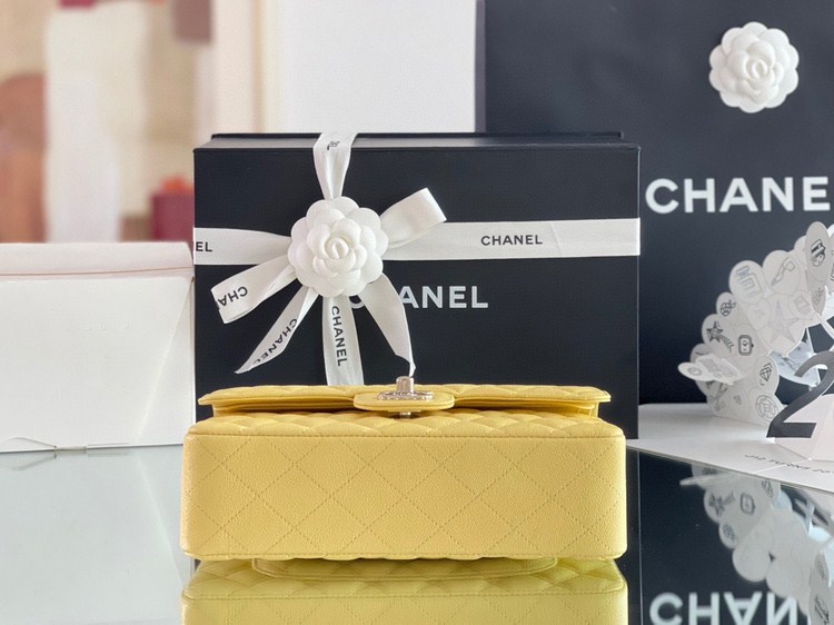 Túi Xách Chanel Classic Vip Màu Vàng Da Hạt Size 23cm