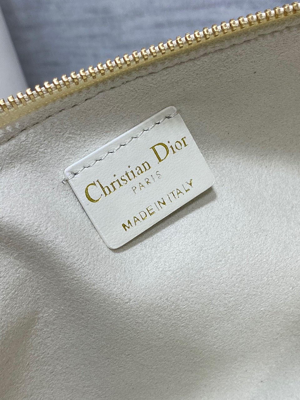 Túi Xách Dior CLub Siêu Cấp màu trắng Size 27cm 9273
