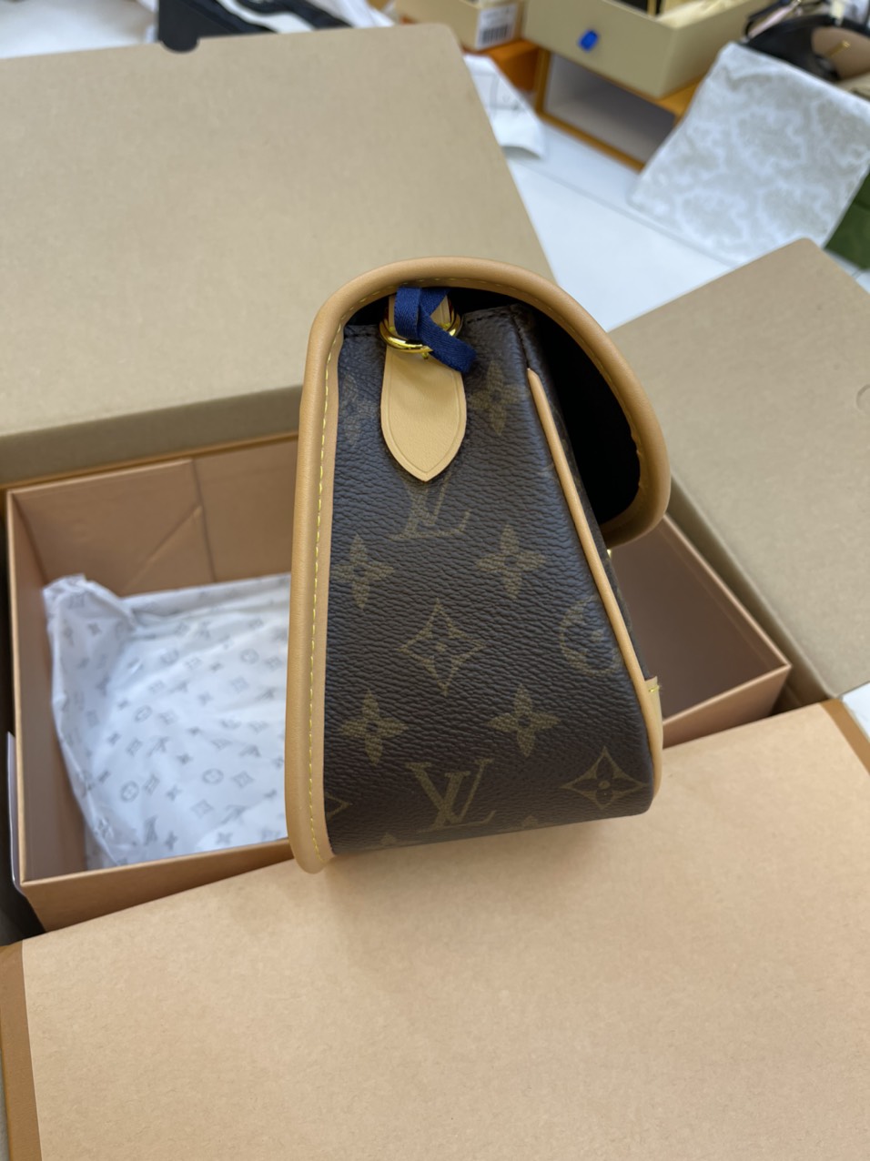 Túi Đeo Chéo Louis Vuitton Diane Màu Nâu