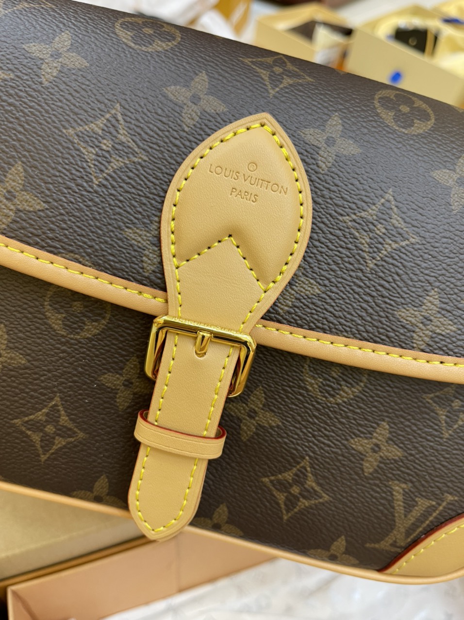 Túi Đeo Chéo Louis Vuitton Diane Màu Nâu