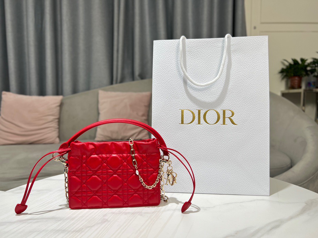 Túi Xách Dior Lady Siêu Cấp Top Handle Drawstring Size 19 x 13 x 5cm S0981ONMJ_M57R