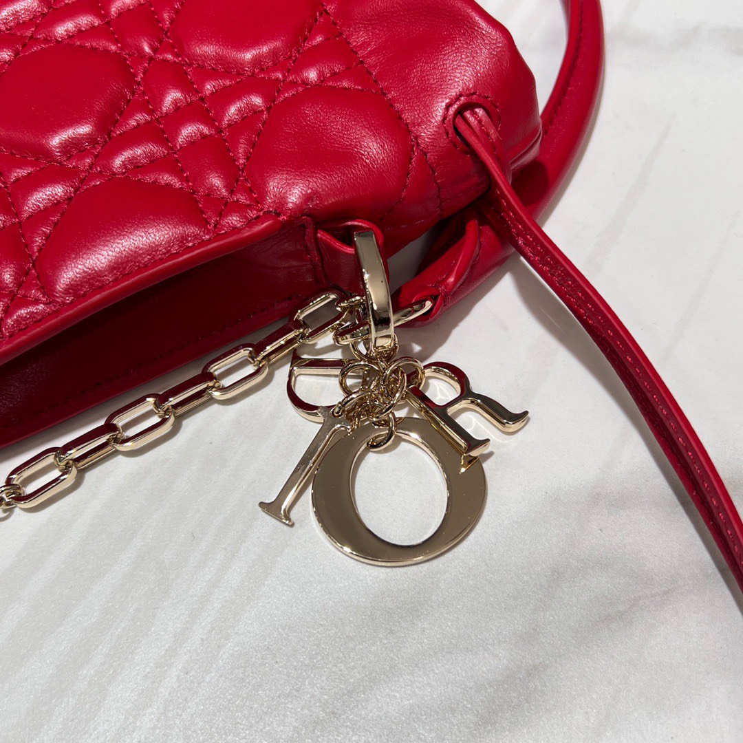 Túi Xách Dior Lady Siêu Cấp Top Handle Drawstring Size 19 x 13 x 5cm S0981ONMJ_M57R